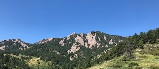 The Modern-Day Boycott